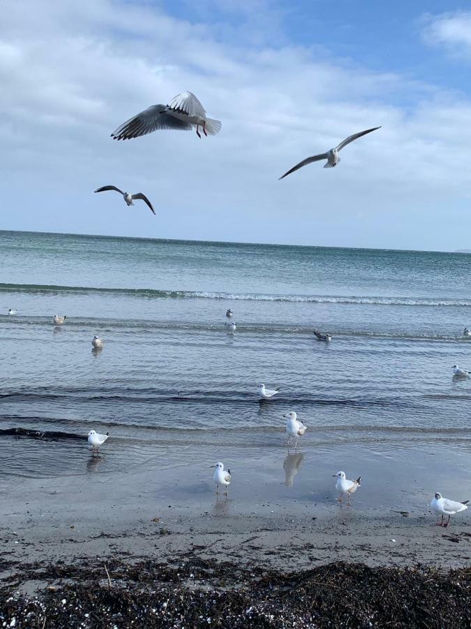 Appartamento Ferienidyll Nordwind Dranske Esterno foto