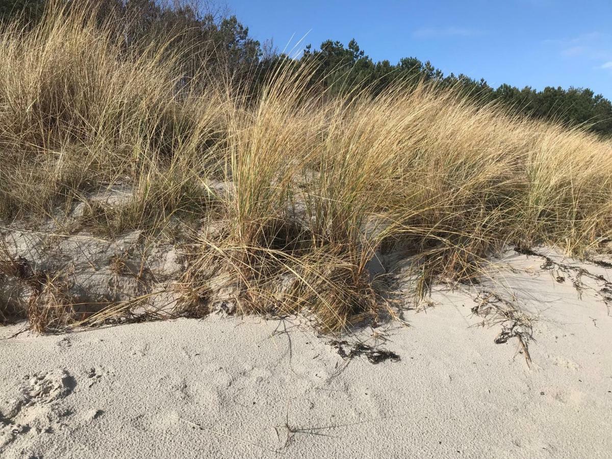 Appartamento Ferienidyll Nordwind Dranske Esterno foto