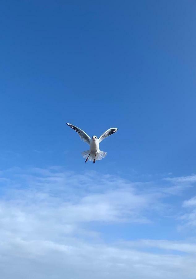 Appartamento Ferienidyll Nordwind Dranske Esterno foto
